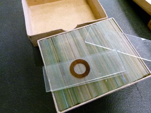 Microscopy - A collection of approximately 150 vintage microscope slides, some named preparers - Image 5 of 6