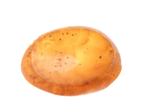 Four small amber dishes, 4.5cm - 4.75cm wide Condition: All four are in good order with no breaks, - Image 6 of 6