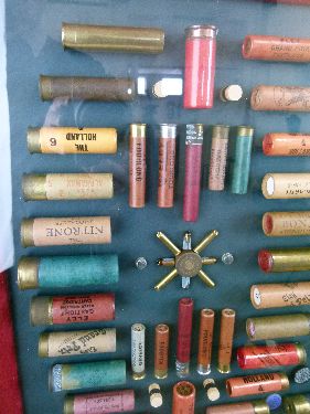 Modern cartridge display board containing vintage sporting ammunition, dimensions of display area - Image 7 of 9