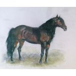 John Rattenburg Skeaping (1901-1980) - Pastel - Study of a pony, signed, 41cm x 47cm A.R. Condition: