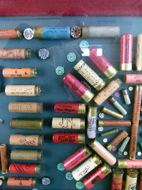 Modern cartridge display board containing vintage sporting ammunition, dimensions of display area - Image 5 of 9