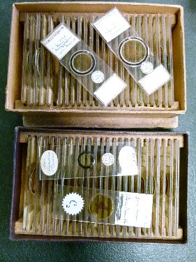 Microscopy - A collection of approximately 150 vintage microscope slides, some named preparers - Image 4 of 6