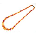 Graduated row of facetted amber, sixty-eight beads measuring 64cm long, 63g gross to a metal clasp