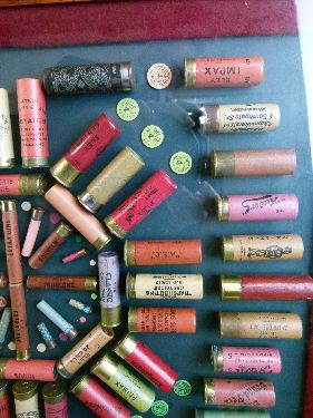 Modern cartridge display board containing vintage sporting ammunition, dimensions of display area - Image 3 of 9