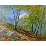 John Bates Noel (fl.1893-1909) - Oil on canvas - An Autumn Morning, Malvern, signed, inscribed to