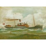 J. Bourne (19th/20th Century) - Oil on board - Ships portrait of S.S. 'M.J.Hedley', signed and dated