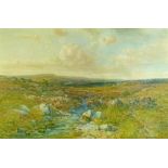 Charles Brooke Branwhite (1851-1929) - Watercolour - Old Down, Dartmoor, signed, 49cm x 75cm