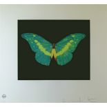 Damien Hirst (b.1965) - Limited edition etching in colours - To Belie, No.18/75, signed and numbered