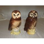 TWO WHYTE & MACKAY WHISKY DECANTERS OF OWLS TAWNY, & SHORT EARED , BY ROYAL DOULTON 72 TALL EMPTY [£