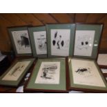 SET OF SEVEN CARICATURES BY REX P&J NEWSPAPERS EST [£40-£80]