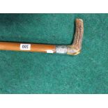 A horn handled and silver mounted walking stick.