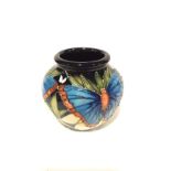 BLUE MORPHO: A small Moorcroft Pottery Trial vase by Vicky Lovatt from the Costa Rica Collection
