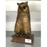 A bronze Owl modelled standing on a book with lift-up lid.