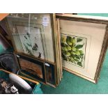 A collection of various framed and glazed pictures and prints.