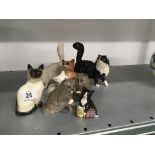 A collection of 8 various Royal Doulton glazed china models of Cats.