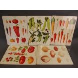 A set of five metal advertising signs decorated with vegetables as illustrated by Ernst Benary,