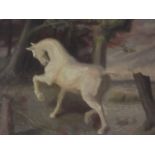 Geoffrey S. Wylde, South African oil on board, white horse in a landscape, inscribed verso, mid