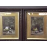 E. Steele, pair of still life oils on board of fruit and ferns, in ornate frames, 14" x 18"