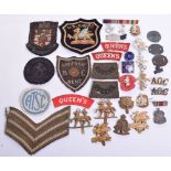 Selection of Badges and Insignia consisting of printed Queens Regiment shoulder title, pair of WW1