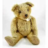 A charming English Teddy bear, 1930’s the light brown mohair bear with large glass eyes, black
