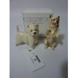 Royal Copenhagen Highland Terrier (boxed) and a Royal Doulton model of the same breed (2)