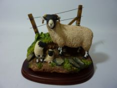 Border Fine Arts Studio sculpture 'Farming Today - Swaledale Sheep' (boxed)