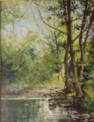 Wooded River scene,