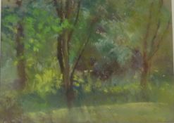 'Woodland Vista' & 'Tree Study',