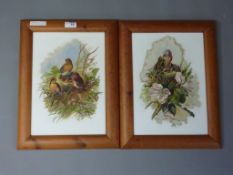 Birds and Chicks in Nests, pair Victorian oils on opaque glass panels initialled and dated M J 1893,