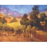 'Southern Vineyard Hills',