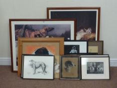 Borzoi Dogs collection of assorted prints and pictures