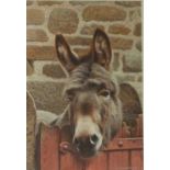 Donkey over the Gate,