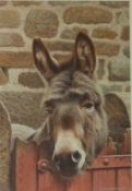 Donkey over the Gate,