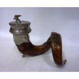 Early 20th century Derbyshire ram's horn snuff mull with pewter mounts,