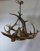 Stag antler chandelier with dome light fitting,