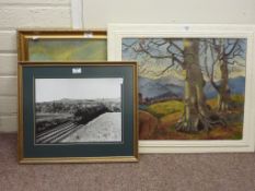 Wooded scene , oil on canvas signed H H Greaves 50cm x 60cm,