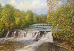 Aysgarth Falls, oil on board indistinctly signed and dated 1978,