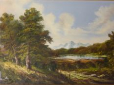 Lakeland scene,