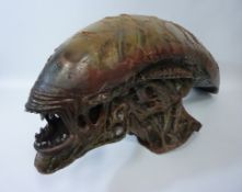 Alien: Resurrection/Alien 4 fibreglass replica alien head H65cm