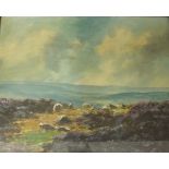 Moorland with Sheep,