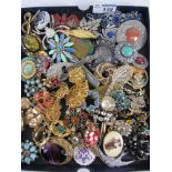 Costume brooches in one box