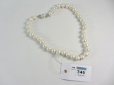 Freshwater pearl necklace