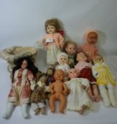 1950's Pedigree and BND dolls,