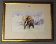 'African Elephant', watercolour signed by W.R.
