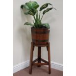 Edwardian oak metal bound jardiniere on stand, planted,