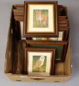 Collection of wildlife prints in mahogany frames in one box