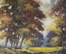 Summer Woodland scene, oil on board signed by J Crane Tomblin,