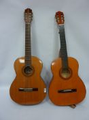 Tatra Classic acoustic guitar and a DIA guitar (2)