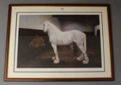 'Jupiter' - Horse Portrait in Stable Interior with the Blacksmith,