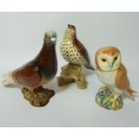 Beswick Thrush, Pigeon and Owl (3) Condition Report <a href='//www.